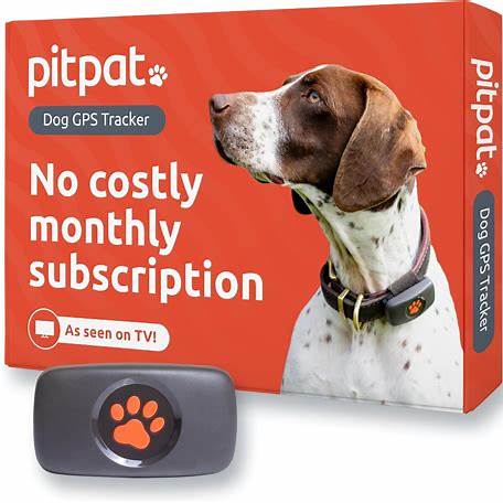 PAJ GPS Pet Finder 4G für Hunde