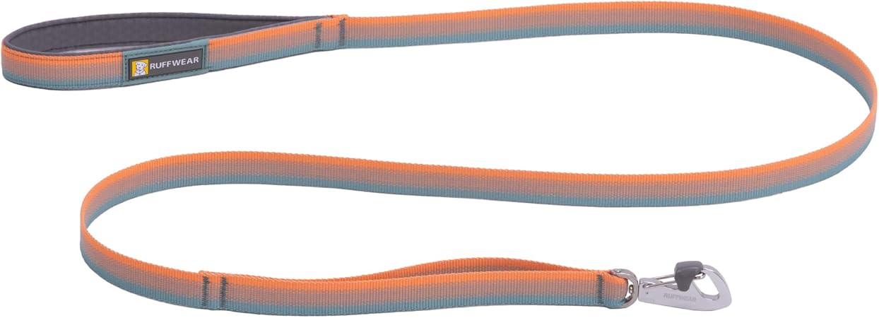 Verstellbare Hundeleine aus Nylon